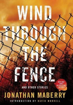Book cover for Wind Through the Fence