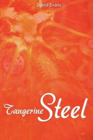 Cover of Tangerine Steel