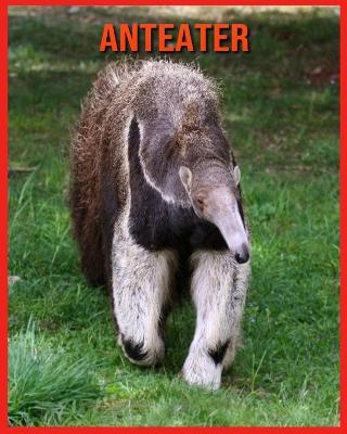 Book cover for Anteater