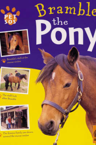 Cover of Bramble The Pony