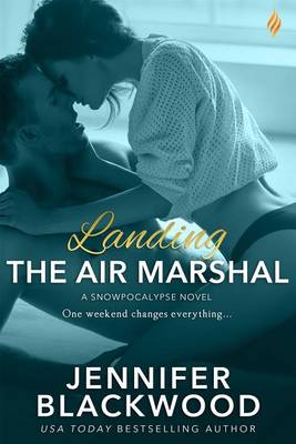 Book cover for Landing the Air Marshal