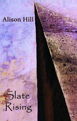 Book cover for Slate Rising