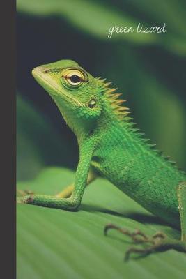 Book cover for Green Lizard