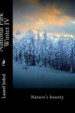 Cover of National Park Winter IV