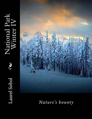 Book cover for National Park Winter IV