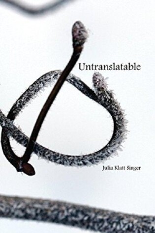 Cover of Untranslatable