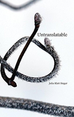 Book cover for Untranslatable