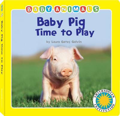 Book cover for Baby Pig Time to Play