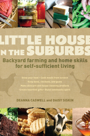 Cover of Little House in the Suburbs