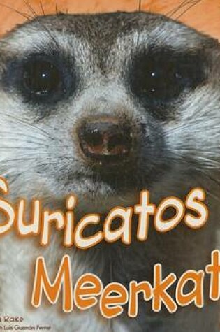 Cover of Suricatos/Meerkats