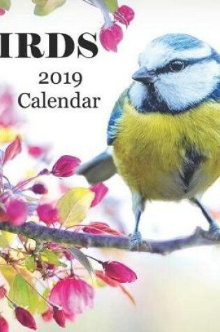 Cover of Birds 2019 Calendar