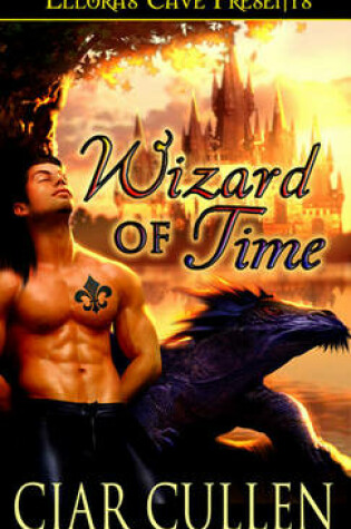 Cover of Wizard of Time