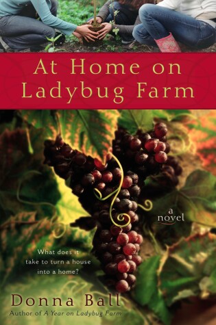 Cover of At Home on Ladybug Farm