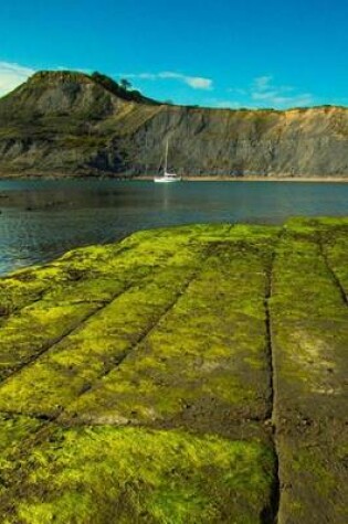 Cover of Chapman's Pool on the Isle of Purbeck, in Dorset, England