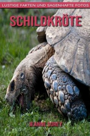 Cover of Schildkröte