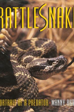 Cover of Rattlesnake