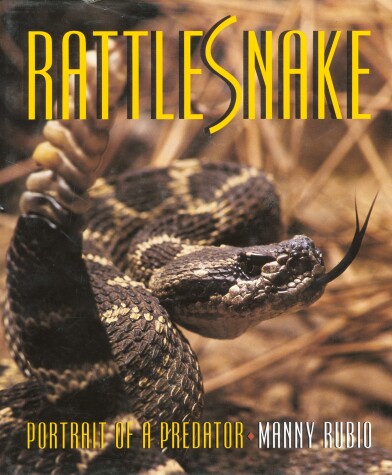 Book cover for Rattlesnake