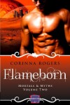 Book cover for Flameborn