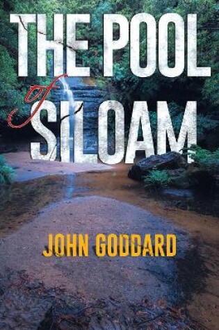 Cover of The Pool of Siloam