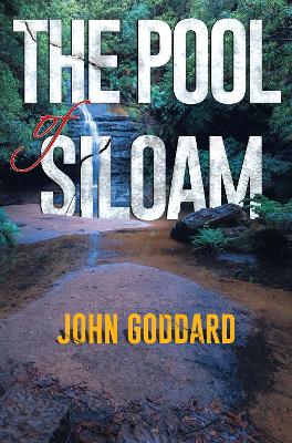 Book cover for The Pool of Siloam