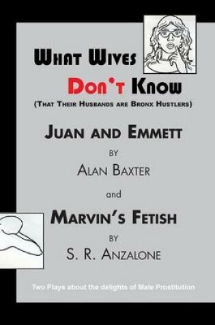 Cover of What Wives Don't Know