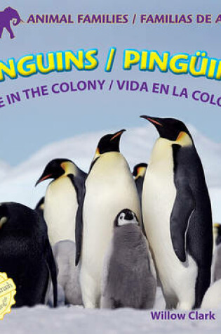 Cover of Penguins: Life in the Colony / Pingüinos: Vida En La Colonia