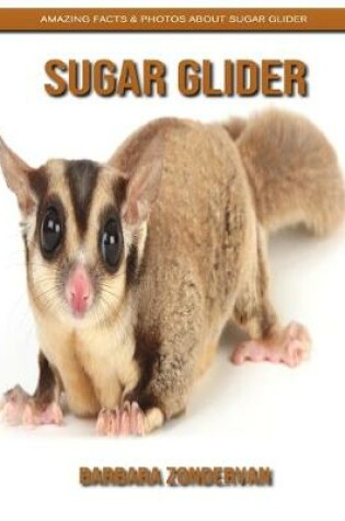 Cover of Sugar Glider