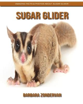 Book cover for Sugar Glider