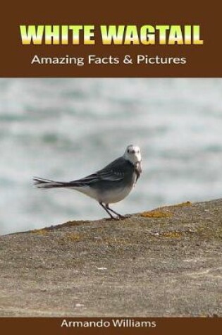 Cover of White Wagtail