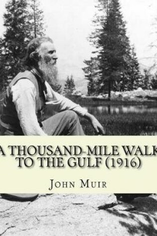 Cover of A Thousand-Mile Walk To The Gulf (1916). By