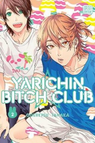 Cover of Yarichin Bitch Club, Vol. 2
