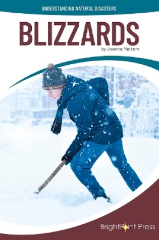 Cover of Blizzards