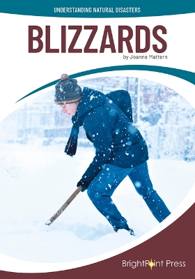 Cover of Blizzards
