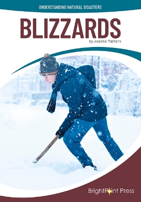 Book cover for Blizzards