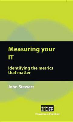 Book cover for Measuring Your It
