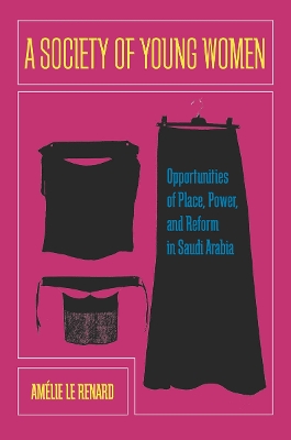 Book cover for A Society of Young Women