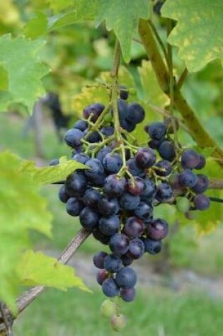 Cover of A Cluster of Purple Grapes on a Grapevine Journal