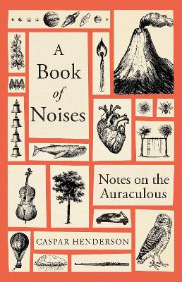 Book cover for A Book of Noises