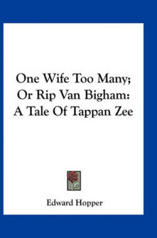 Cover of One Wife Too Many; Or Rip Van Bigham