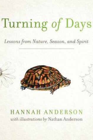 Cover of Turning of Days