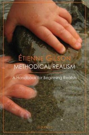 Cover of Methodical Realism