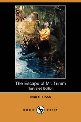 Book cover for The Escape of Mr. Trimm(Dodo Press)