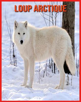 Book cover for Loup Arctique