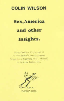 Book cover for Sex, America and Other Insights