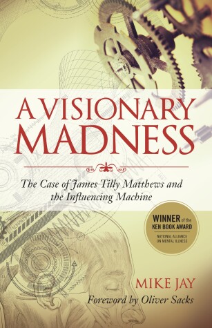 Book cover for A Visionary Madness