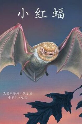 Cover of Little Red Bat in Chinese