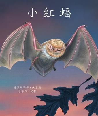 Book cover for Little Red Bat in Chinese