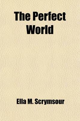 Book cover for The Perfect World; A Romance of Strange People and Strange Places