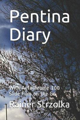 Book cover for Pentina Diary