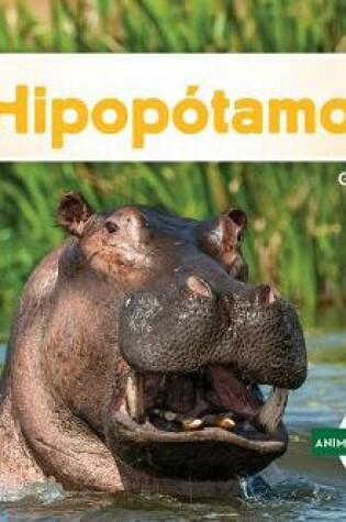 Cover of Hipopótamo (Hippopotamus)